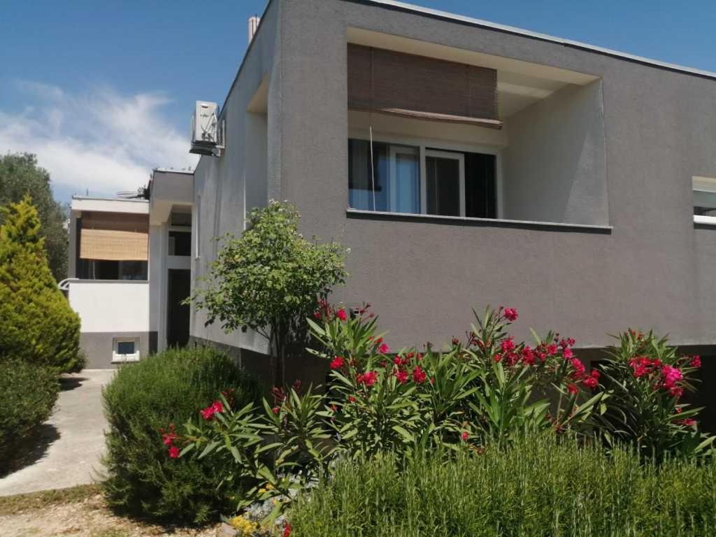 Apartments Dora 2 Бибинє Екстер'єр фото